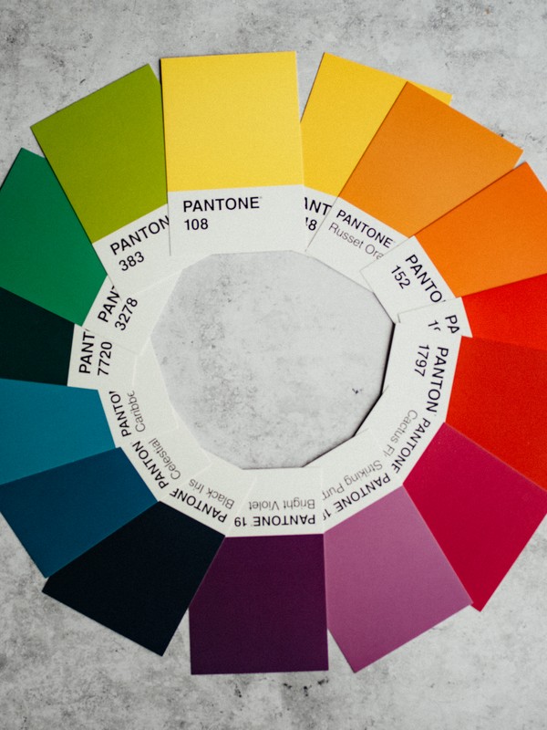 Pantone cards of various diverse colours arranged in a wheel